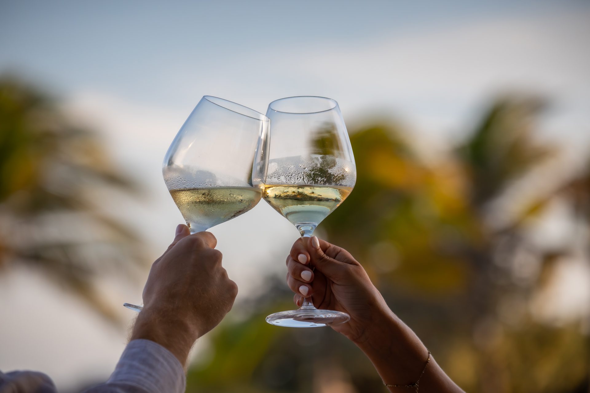 A CARIBBEAN GEM: BAOASE WINS REVE LUXURY AWARD 2025